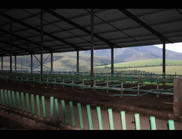 814HA FARM FOR SALE IN RIVERSDALE RURAL